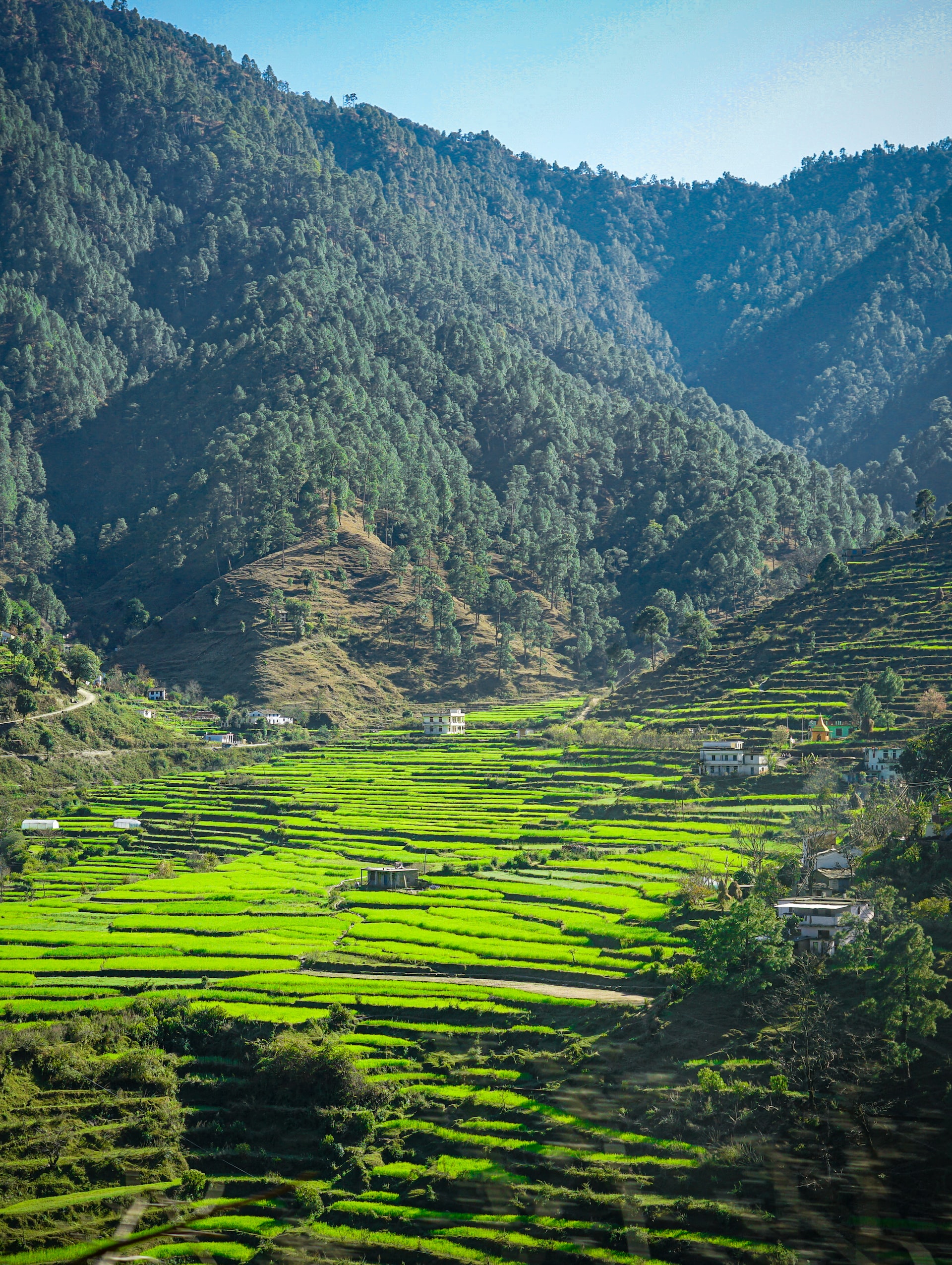manali1